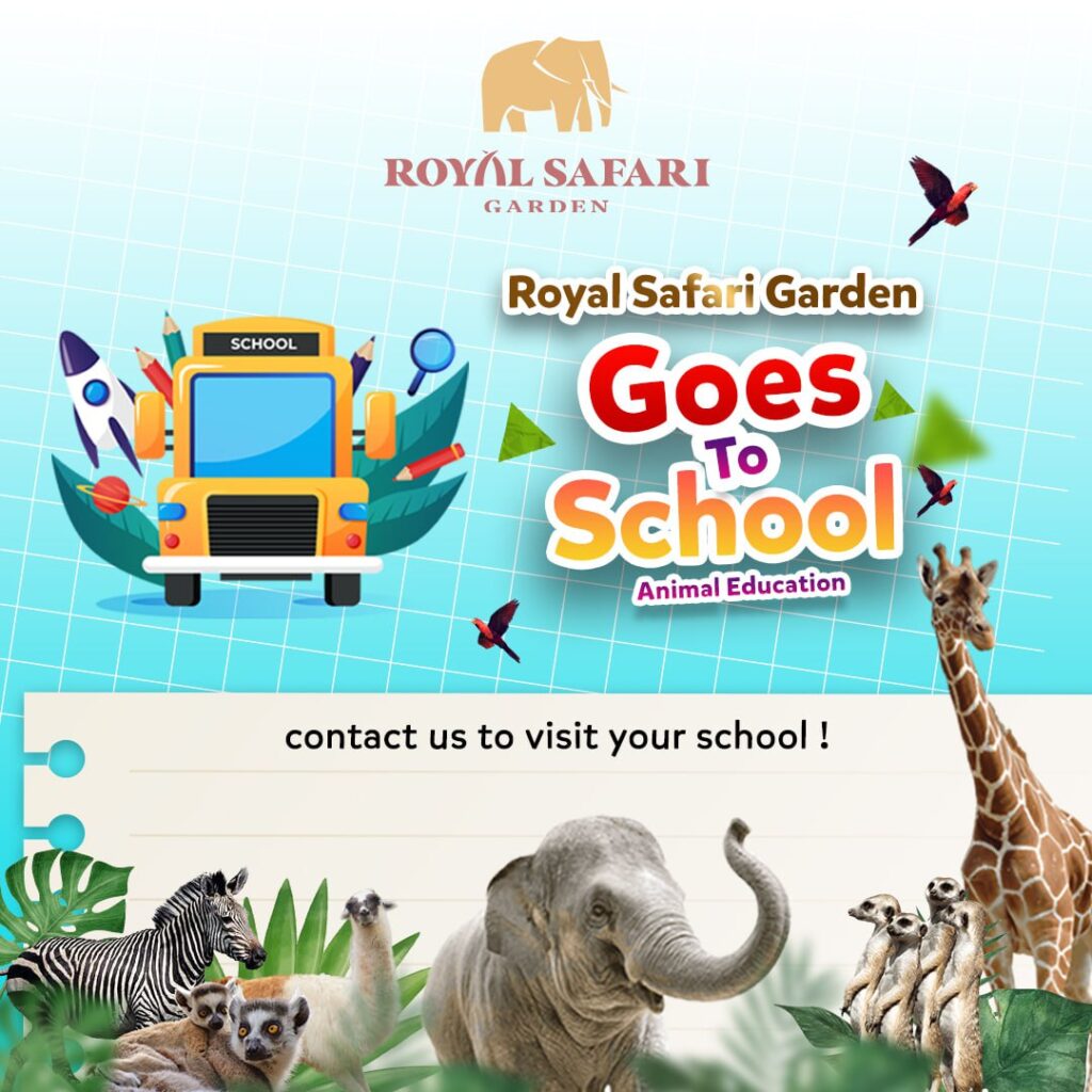 video royal safari garden