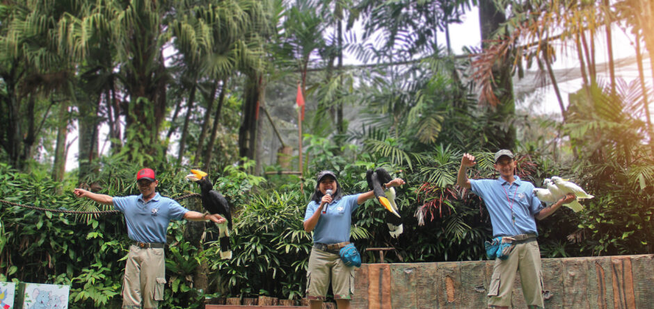 operasional taman safari indonesia