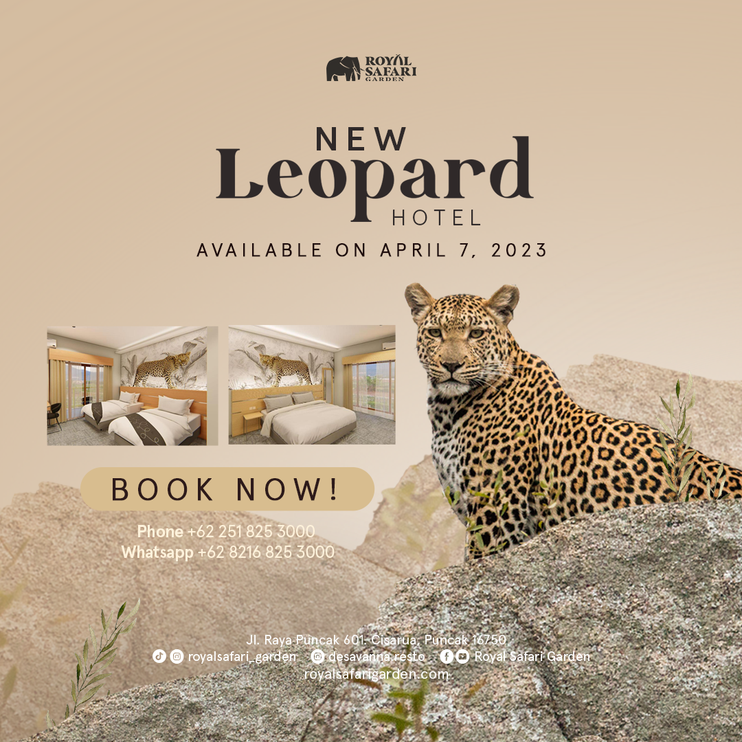 leopard-kotak-new