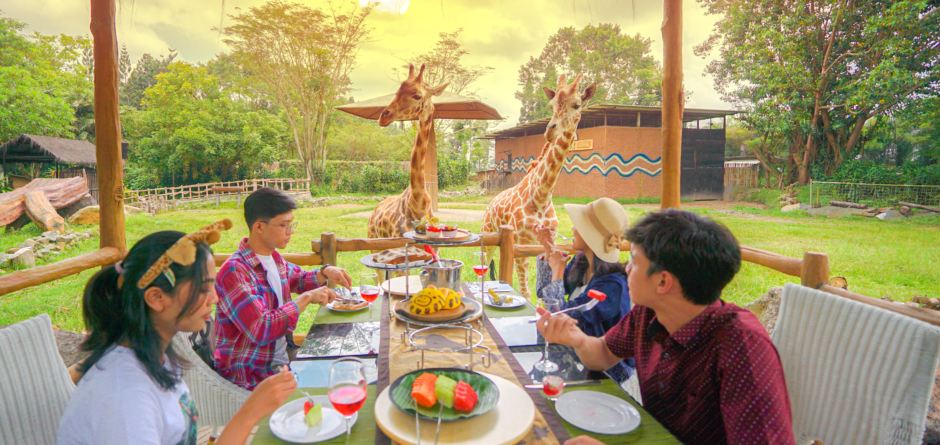 operasional taman safari indonesia