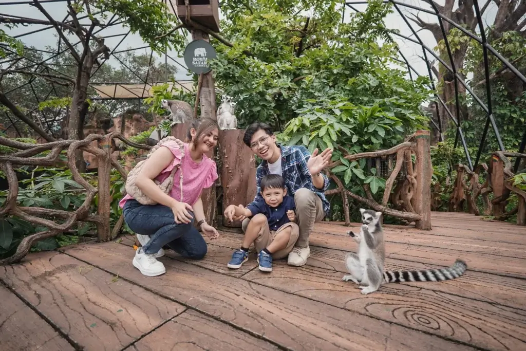 Lemur (African Adventure)