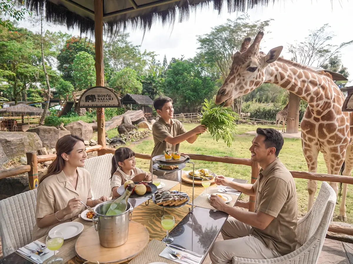 Dine with giraffe -Experiences