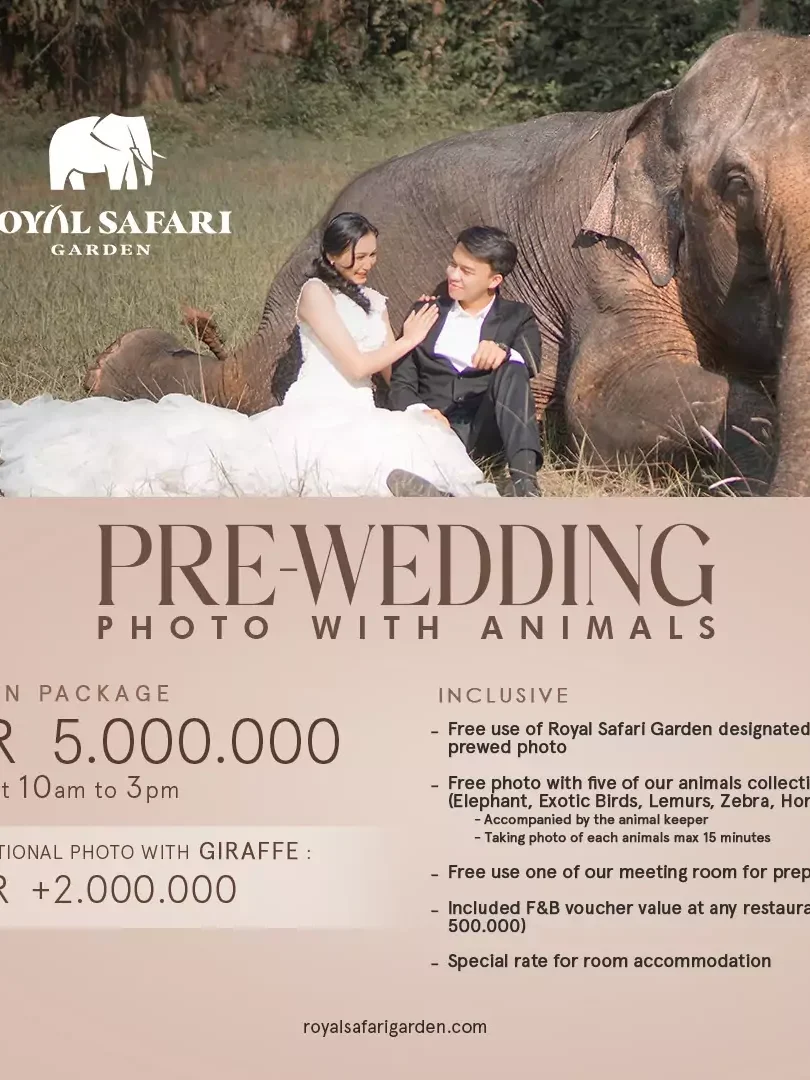 Prewedding Photoshoot with Animals for a Unique Memory