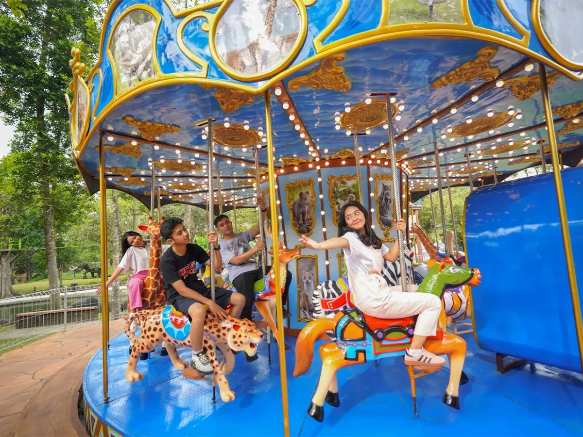 Recreation Rides - Experiences
