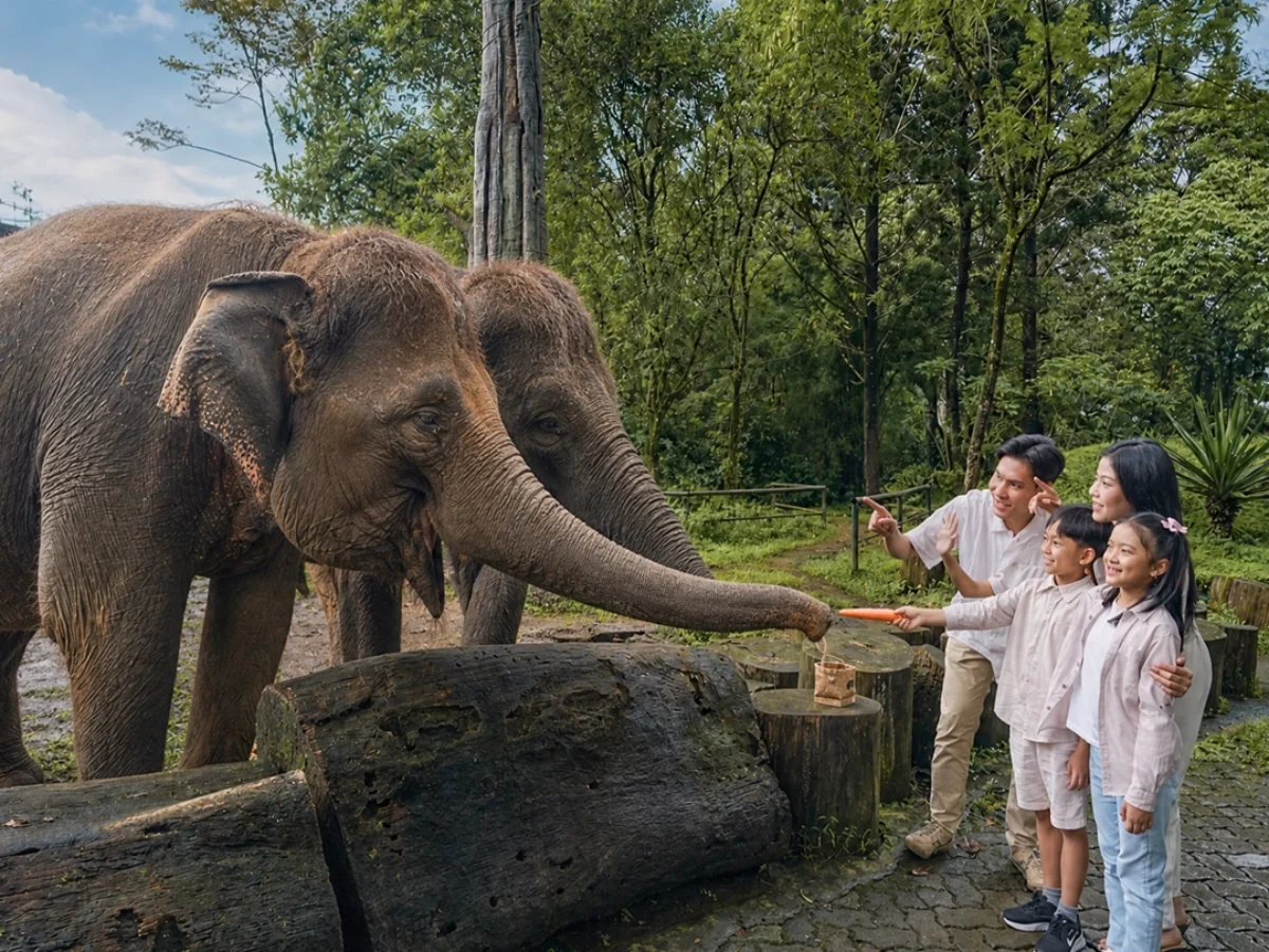 Royal Safari Garden - Experiences