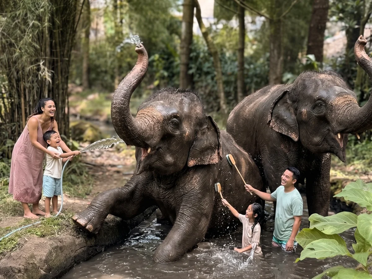 Royal Safari Garden - Experiences