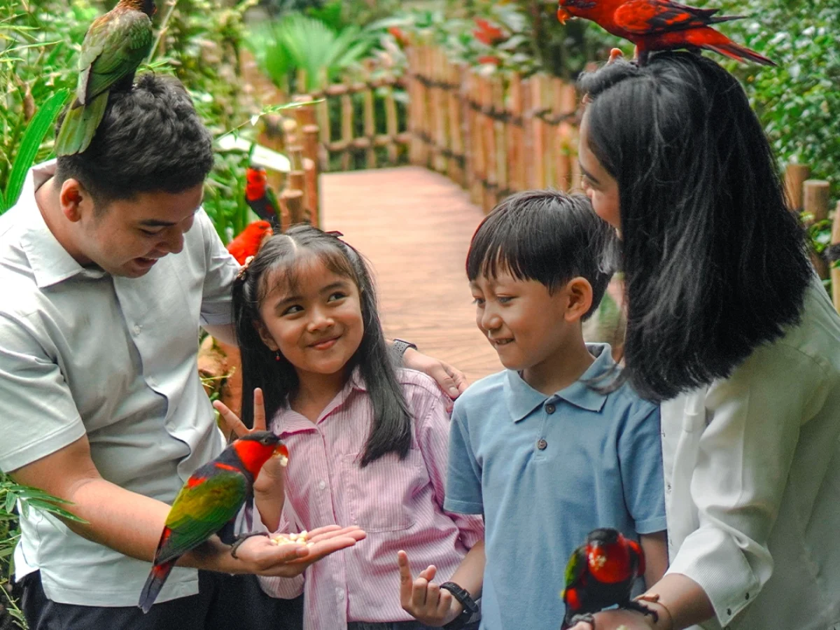 Royal Safari Garden - Experiences