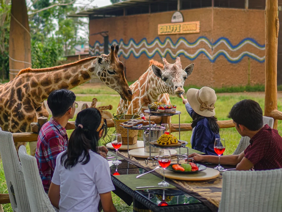 Royal Safari Garden - Experiences
