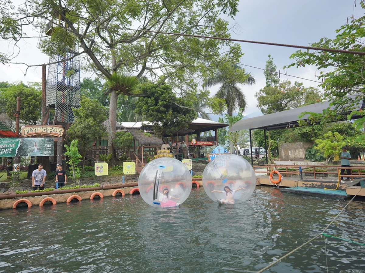 Royal Safari Garden - Recreation Ride